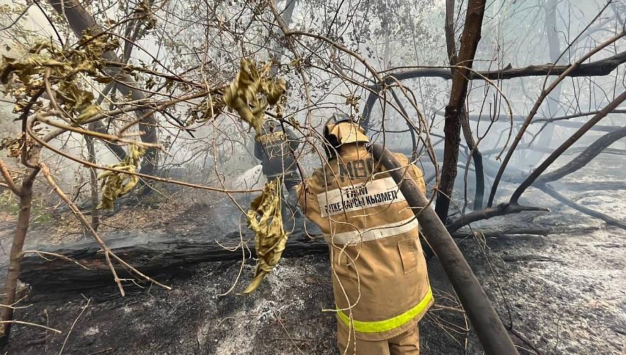 Токаев поручил задействовать все имеющиеся ресурсы для борьбы с пожаром в Абае