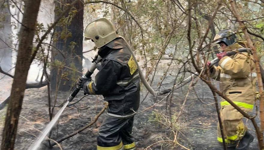Смагулов о пожаре в Абае: На рации потратили Т484 тыс., а на имиджевую продукцию – Т7,5 млн
