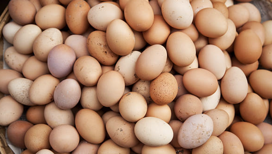 Увеличены субсидии на производство яиц в Казахстане