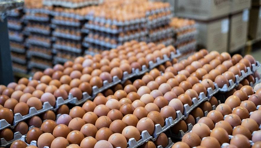 Отмена субсидирования на производство яиц привела к росту цен в РК на 30% - ассоциация
