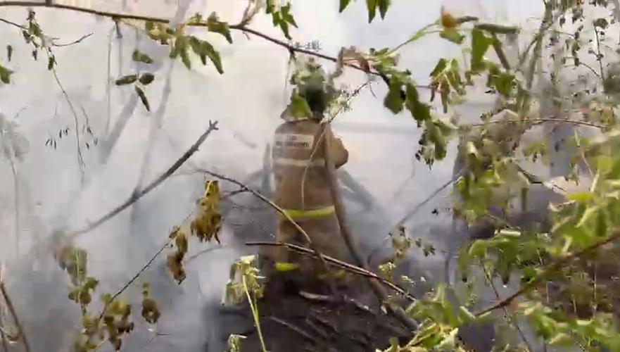 ЧСников из Алматы и четырех областей дополнительно перебросят тушить пожар в Абае