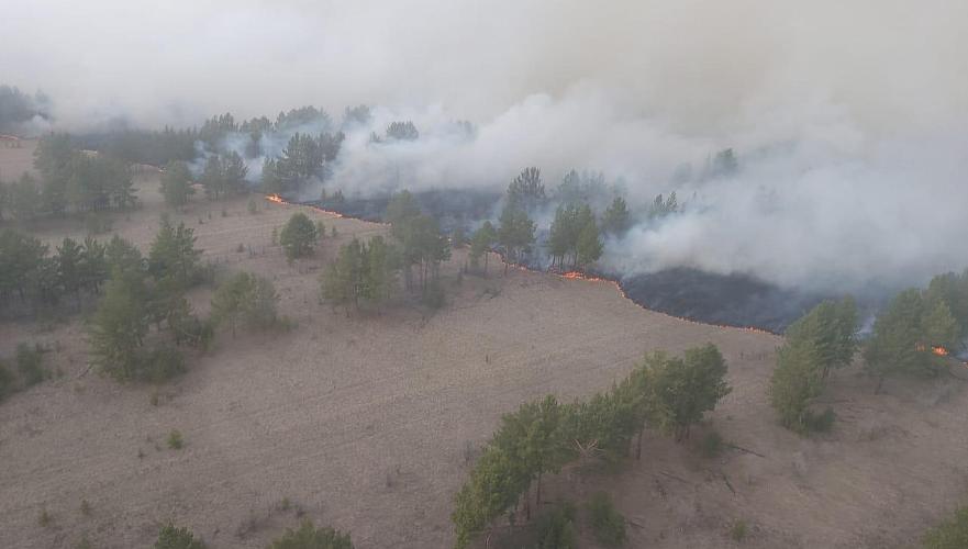 300 га горит в Степном лесничестве Павлодарской области