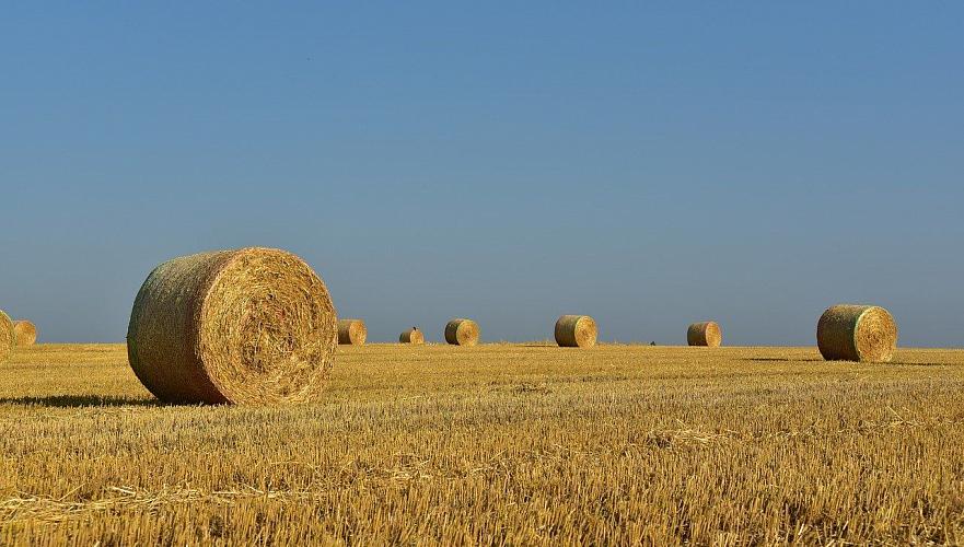 Сельское хозяйство Казахстана финансируется на 70-80% от необходимого – МСХ