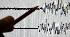 Quake measuring 4.6 hit in Shymkent