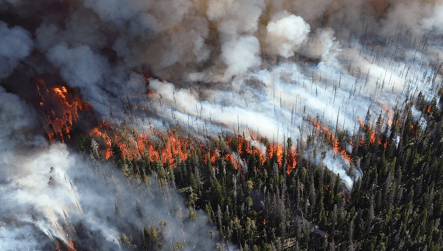 Причиной густого смога над Павлодарской областью названы лесные пожары в Якутии