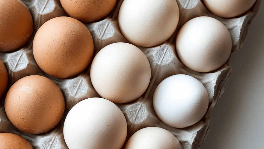 Летом производители продают яйца ниже себестоимости – Союз птицеводов Казахстана
