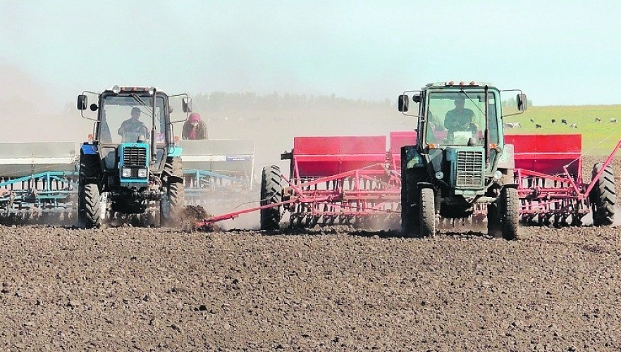 Фермеры Туркестанской области отказались занимать госсредства на весенне-полевые и уборку