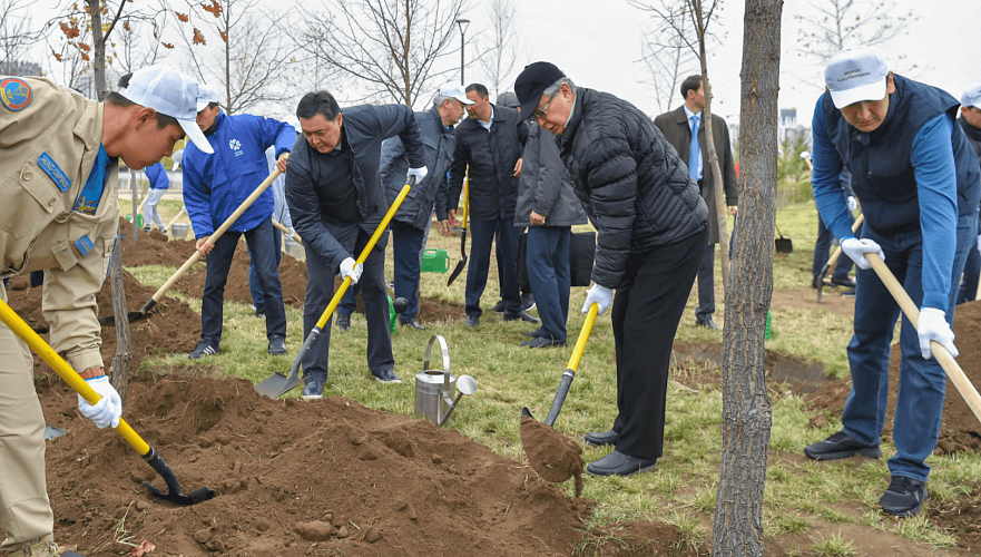 Свыше Т82 млрд госсредств хотят потратить за пять лет на высадку деревьев в Казахстане