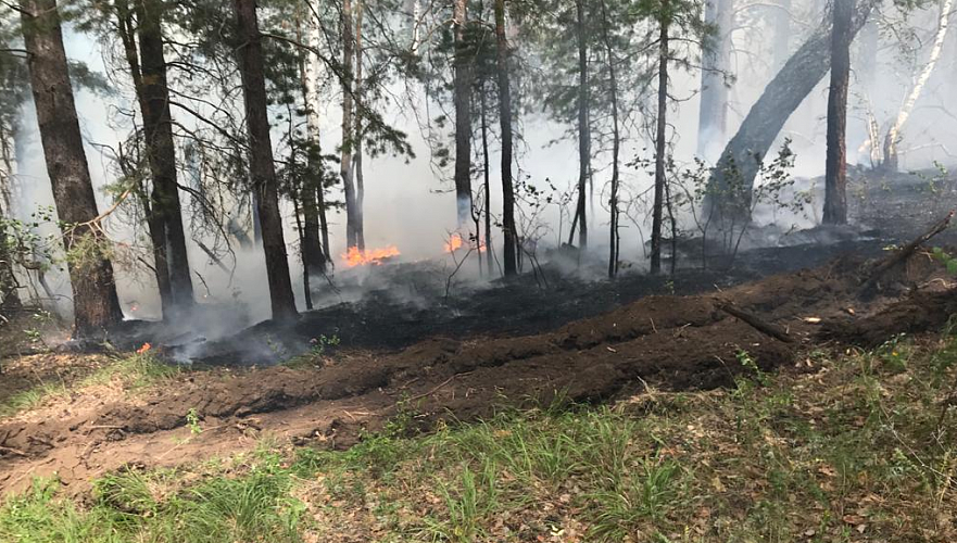 Лесной пожар тушили при помощи вертолета в СКО