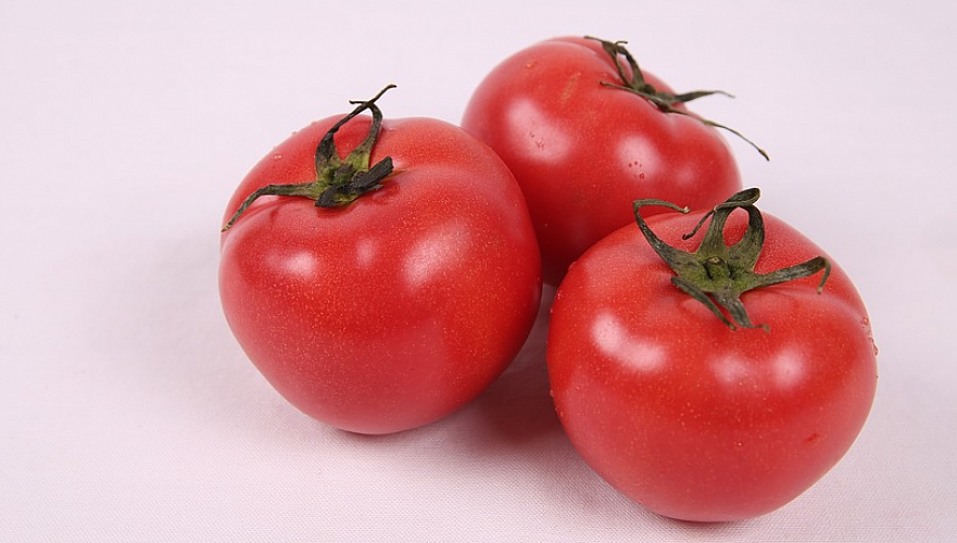 Россельхознадзор частично отменил ограничения на ввоз казахстанских томатов и перцев