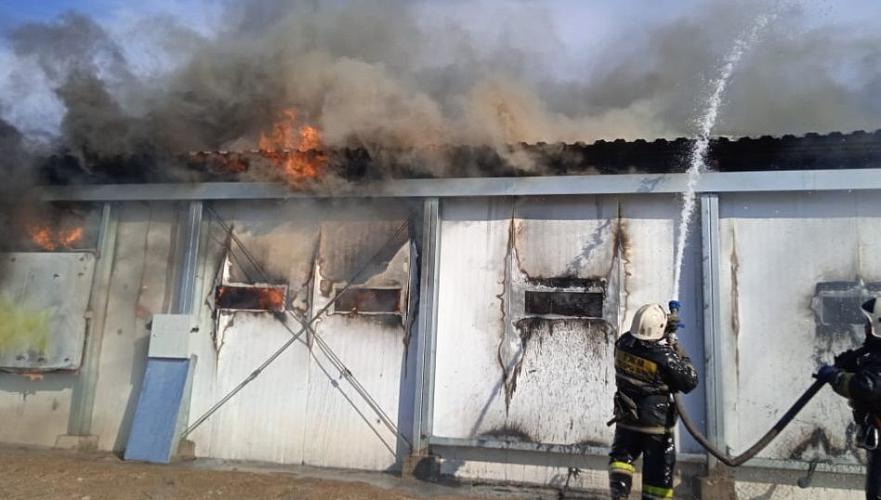 Крупный пожар разгорелся на птицефабрике в Акмолинской области