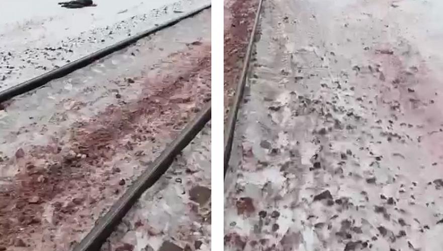 Пассажирский поезд сообщением Алматы-Жезказган сбил шесть лошадей