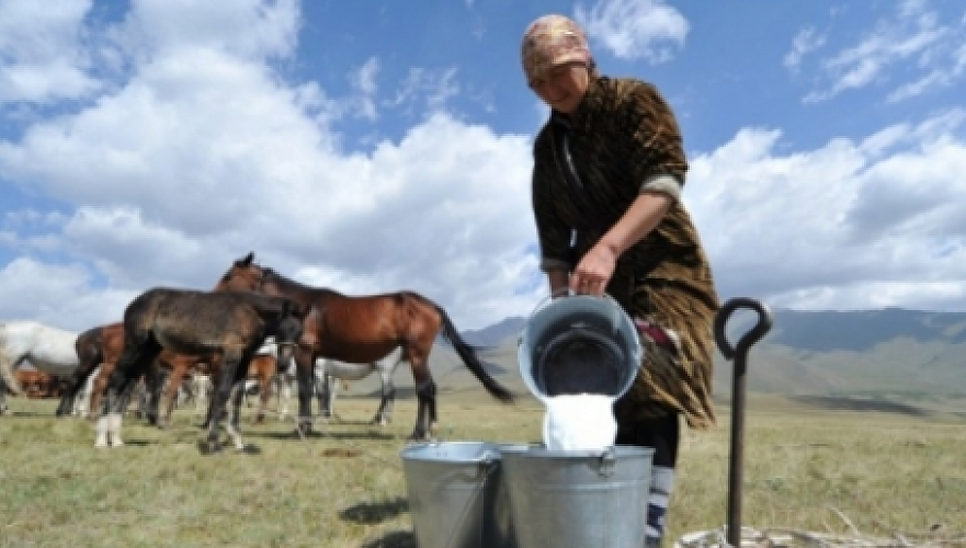 Казахстан, Россия и Беларусь впервые разработают межгосстандарты на кобылье молоко