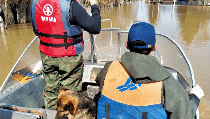 Свыше 50 тыс. человек вернулись в свои дома в Казахстане