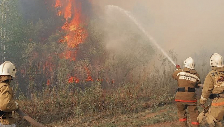 Появилась угроза деревне и санаторию из-за пожара в лесу области Абай