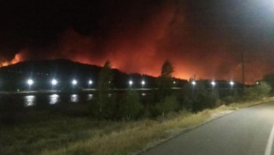 Пожар в Баянаульском нацпарке локализован в Павлодарской области