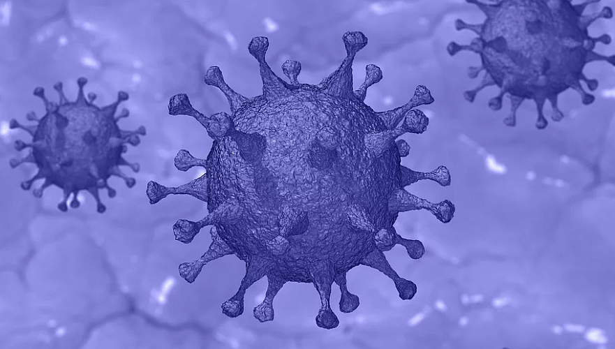 Число заразившихся коронавирусом в Казахстане достигло 135
