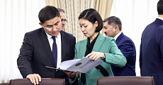 Токаев поставил перед Сулейменовой ряд задач по международному экосотрудничеству