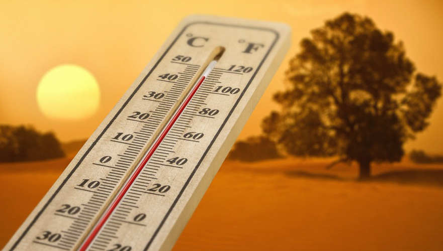 Штормовые предупреждения объявлены из-за сильной жары в Шымкенте и пяти областях