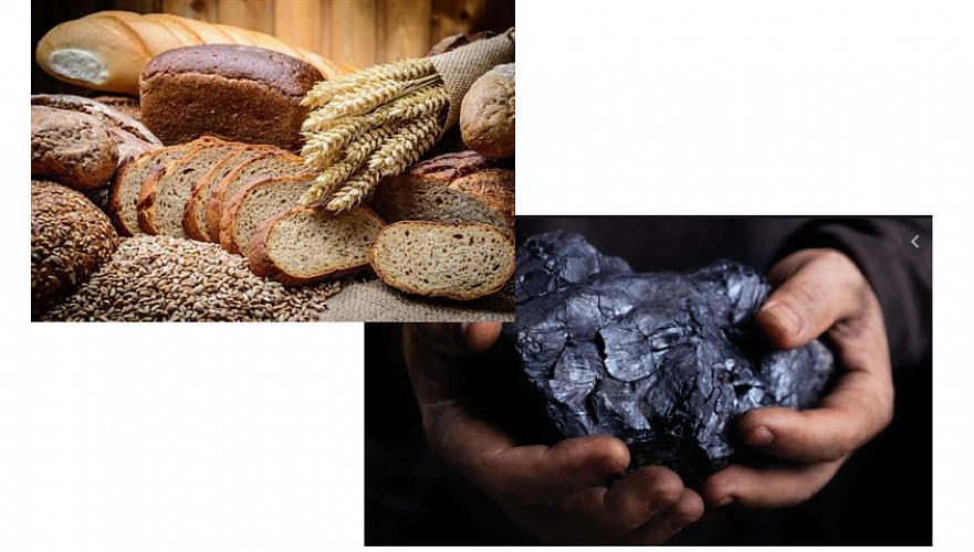 Принять меры в связи с ростом цен на хлеб и уголь поручил Токаев правительству и акимам