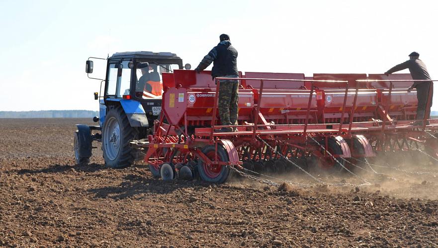 3,7 млн га засеют яровой пшеницей в Акмолинской области в 2018 г.