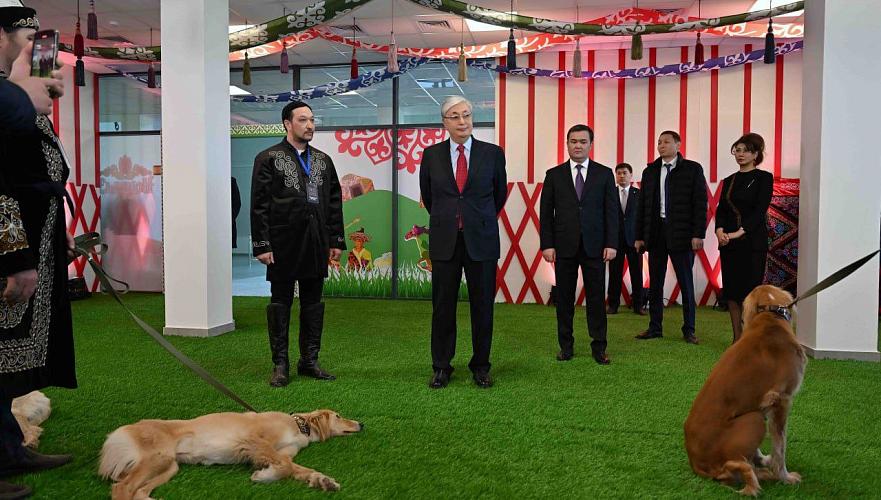 Токаев посетил выставку собак породы тазы