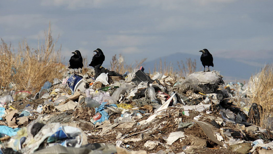  У 145 мусорных полигонов ЗКО нет разрешительных документов
