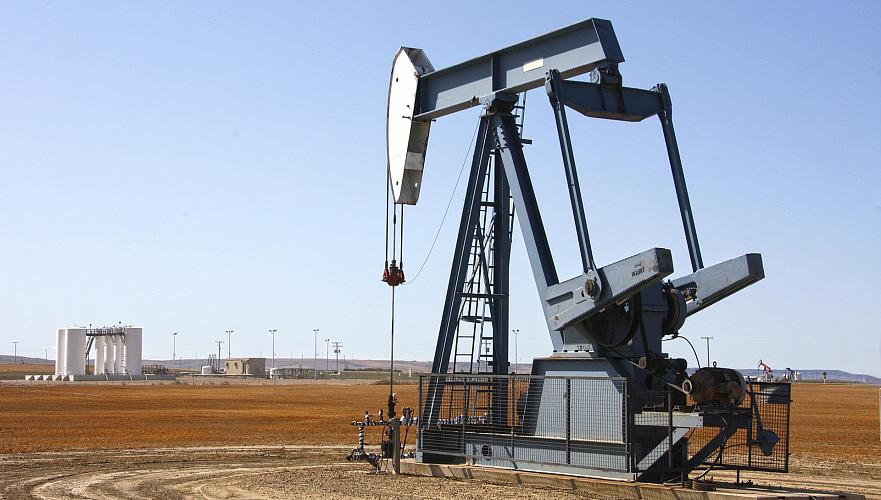 Нефтепроявления обнаружены в Туркестанской области