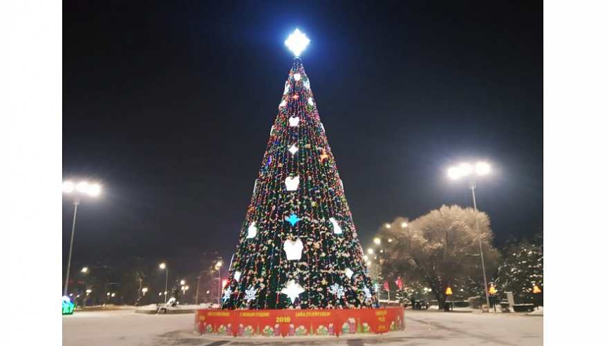 Три новогодние елки почти за Т25 млн хотят установить в Талдыкоргане