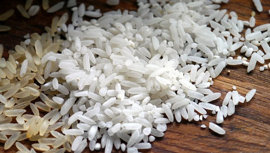 Фермеры не исключают роста цен на рис в Казахстане