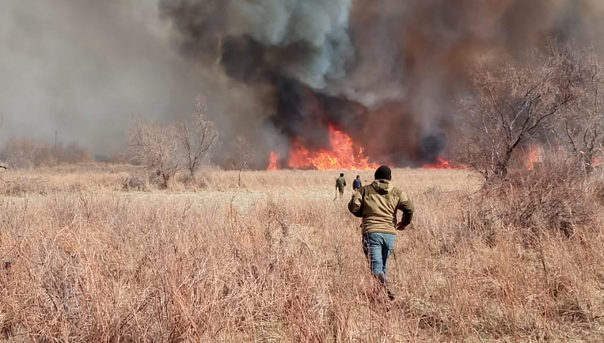 Пожар в степи распространился до крестьянских хозяйств и баз отдыха в Алматинской области