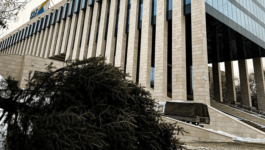 «Демонстративная» вырубка деревьев в Алматы продолжается