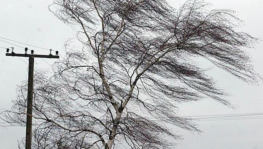 270 кв.м кровли спортзала унесло сильным ветром в Костанайской области