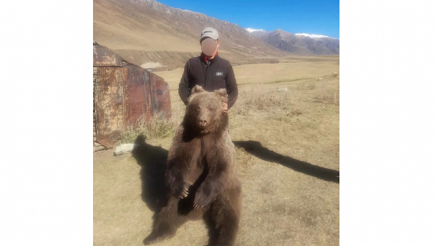 Сфотографировавшегося с застреленным краснокнижным медведем задержали в Жетысу