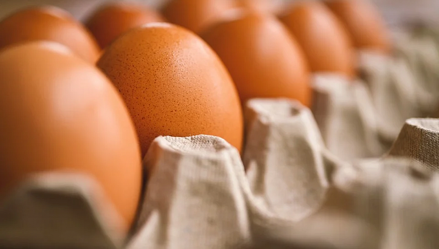 Более 300 тыс. яиц не разрешили ввезти из Казахстана в Россию