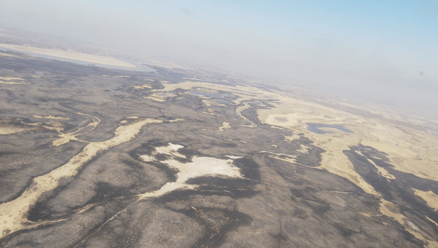 Крупный пожар затронул территории трех лесничеств и резервата в Алматинской области