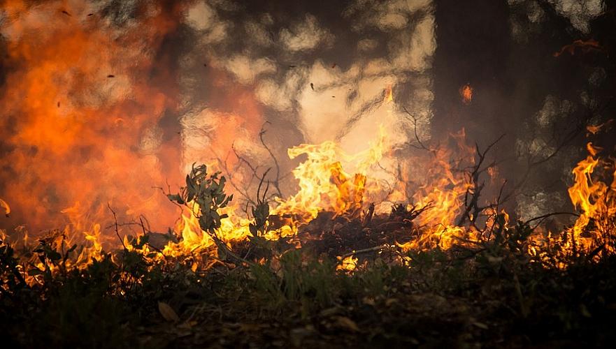 Вторые сутки тушат пожар в Бахтинском лесничестве в Карагандинской области