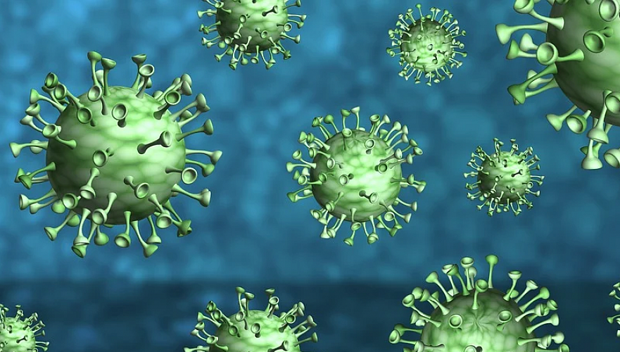 Число зараженных коронавирусом в Казахстане достигло 22 308, выздоровели 13 558 человек