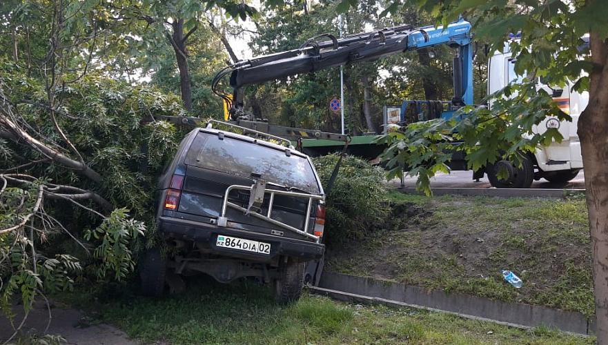 Джип снес дерево и влетел в арык в Алматы; трое пострадали