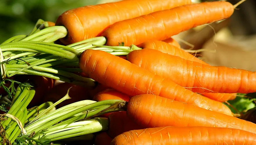 Морковь продолжает дорожать в Казахстане