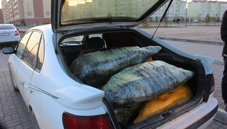 200 кг рыбы осетровых пород обнаружили в багажнике иномарки в Актау