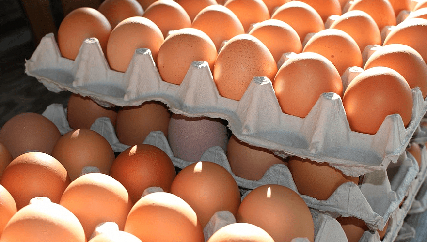 Предельно допустимые розничные цены на яйца временно установили в Алматы