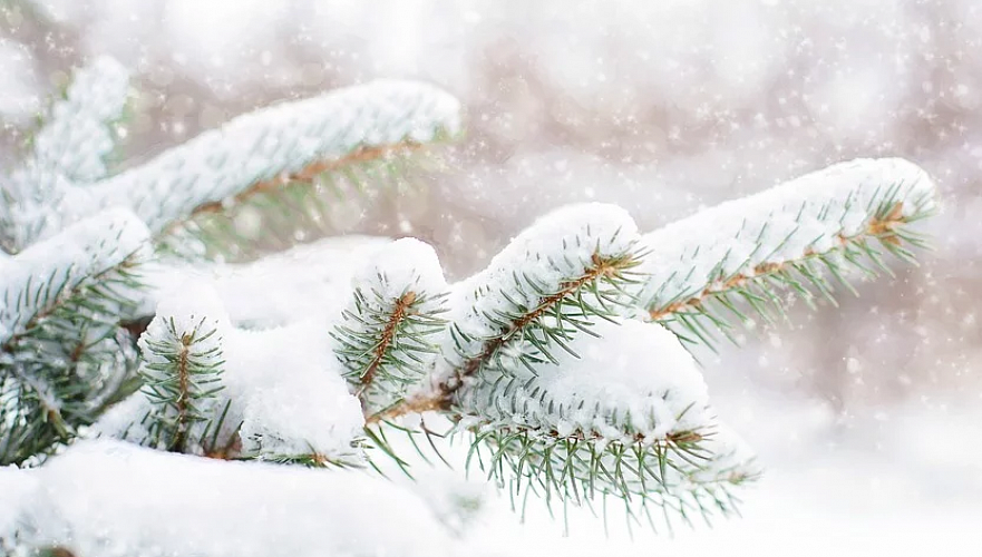 Снег ожидается в понедельник в Нур-Султане, в Алматы и Шымкенте без осадков
