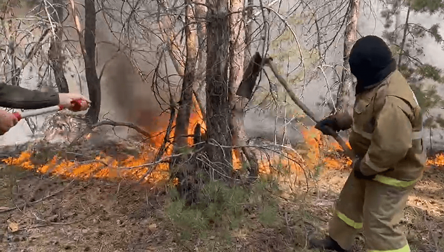 МЧС о пожарах в Костанайской области: Обстановка стабильная и контролируемая