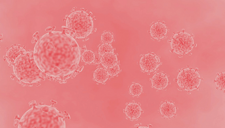 Число зараженных коронавирусом в Казахстане достигло 1232