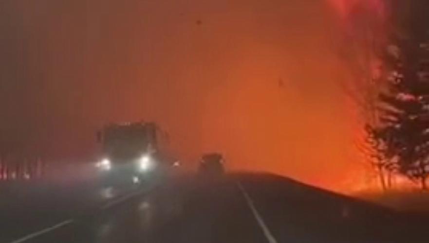 Все очень плохо, горит уже больше 50 тыс. га – источник о лесном пожаре в области Абай