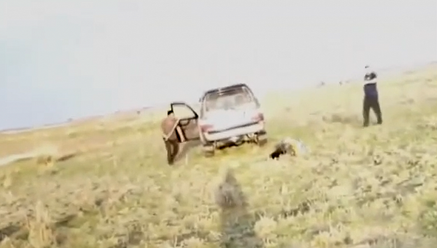 Работника фермы сбили на внедорожнике Lexus и затем жестоко избили в Алматинской области