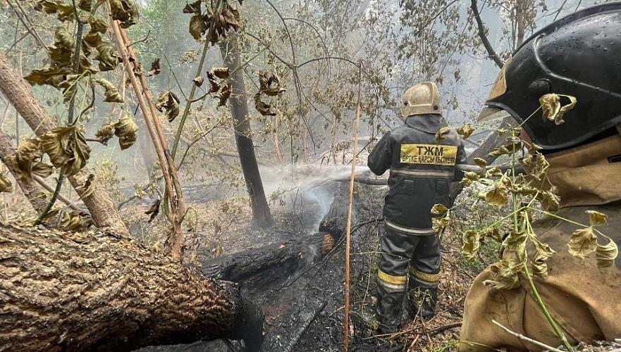 С 14 работниками лесничеств потеряна связь в районе крупного лесного пожара в области Абай