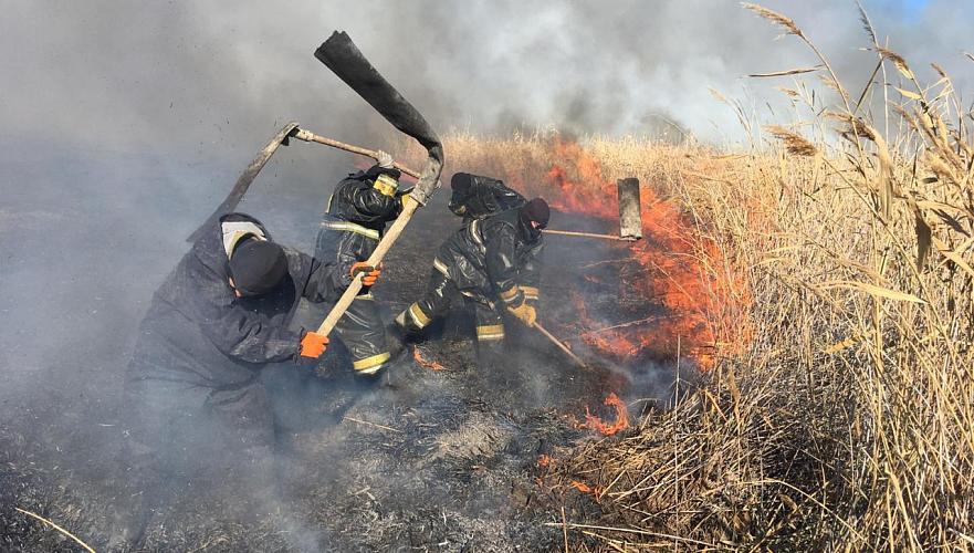 Крупный степной пожар тушат с помощью вертолета в Атырауской области