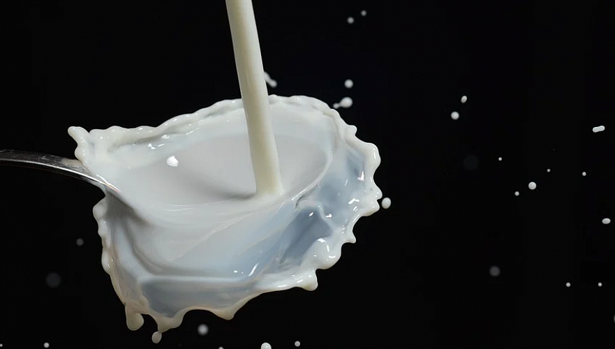 Страны ЕАЭС договорились о маркировке молочной продукции